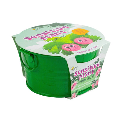 Kids Mini Basin Sensitive Plant Grow Kit – Indoor Gift
