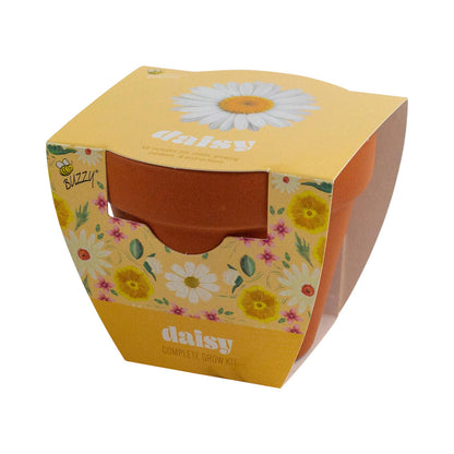 Daisy Grow Kit – Indoor Gift