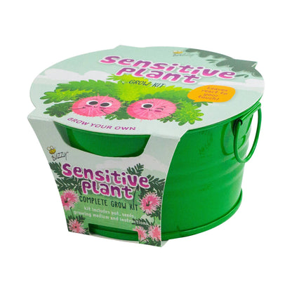 Kids Mini Basin Sensitive Plant Grow Kit – Indoor Gift