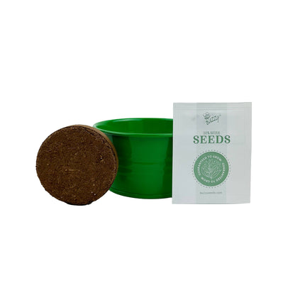 Kids Mini Basin Sensitive Plant Grow Kit – Indoor Gift