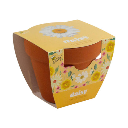 Daisy Grow Kit – Indoor Gift
