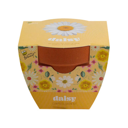 Daisy Grow Kit – Indoor Gift