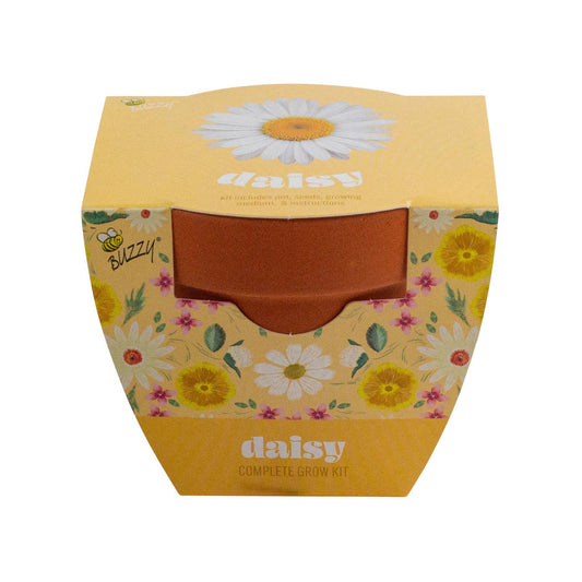 Daisy Grow Kit – Indoor Gift