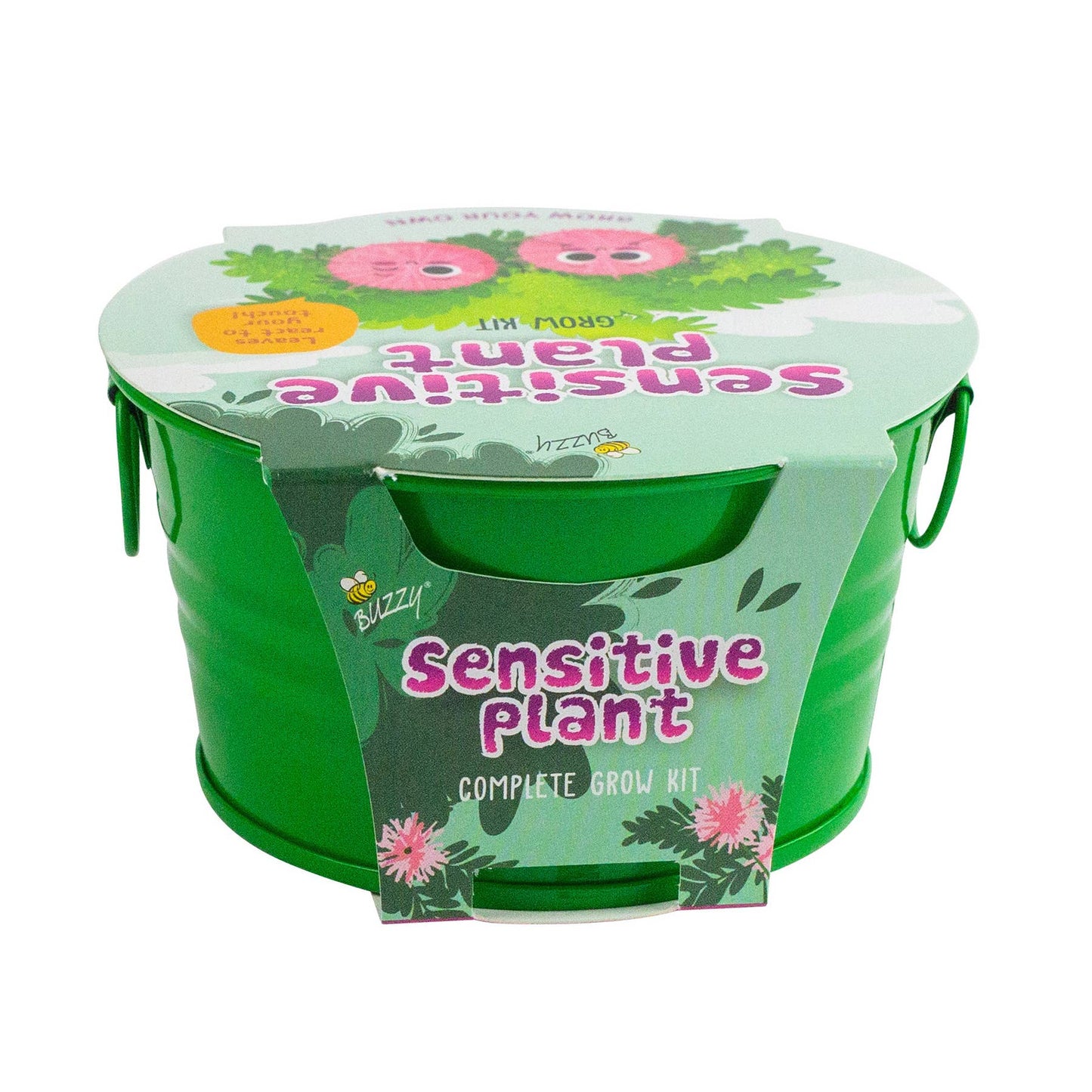 Kids Mini Basin Sensitive Plant Grow Kit – Indoor Gift