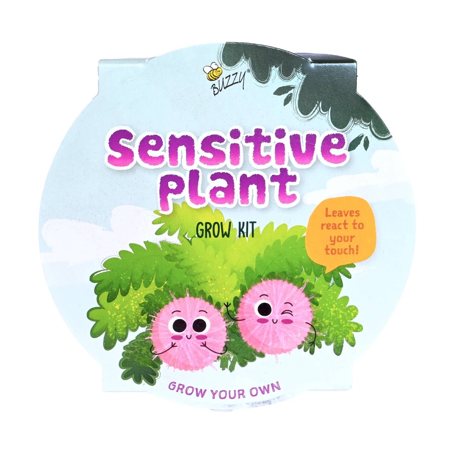 Kids Mini Basin Sensitive Plant Grow Kit – Indoor Gift