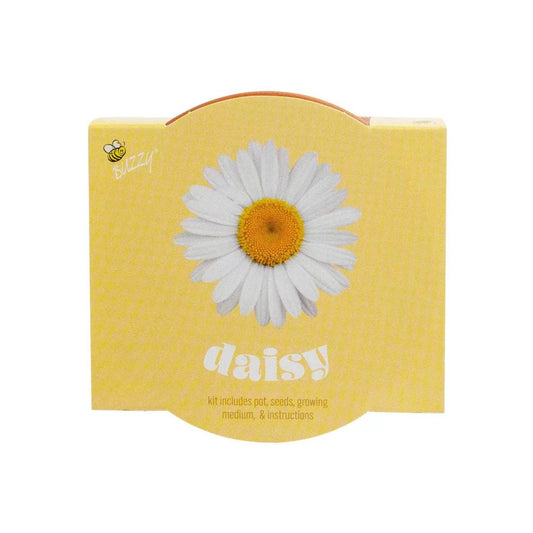 Daisy Grow Kit – Indoor Gift